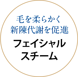 毛を柔らかく新陳代謝を促進 フェイシャルスチーム